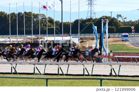冬の中京競馬 冬の中京競馬 121999006
