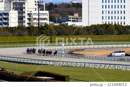 冬の中京競馬 121999013