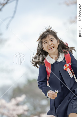 桜の咲く公園を楽しむランドセル姿の一年生 桜の咲く公園を楽しむランドセル姿の一年生 121999392