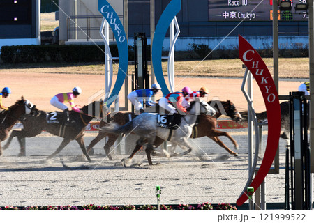冬の中京競馬 121999522