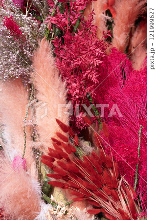 Closeup of vibrant red and pink dried plants Closeup of vibrant red and pink dried plants 121999627