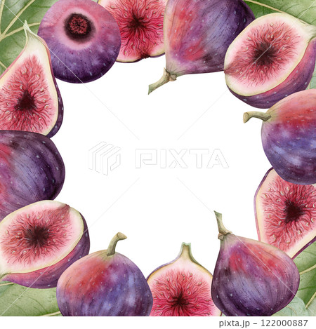 Hand drawn figs watercolor square frame illustration isolated on white. Summer fruits with green leaves. Tropical berries banner template with copy space. Realistic food clipart 122000887