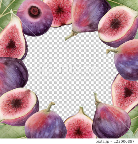 Hand drawn figs watercolor square frame illustration isolated on white. Summer fruits with green leaves. Tropical berries banner template with copy space. Realistic food clipart 122000887