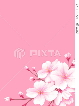 ピンクの桜の背景イラスト - 春のフラワーデザイン ピンクの桜の背景イラスト - 春のフラワーデザイン 122001174