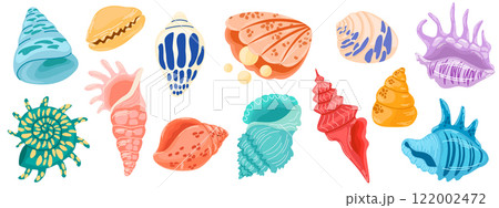 2591_seashell_setnew 122002472