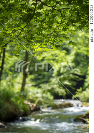 新緑に包まれて、清々しい清流 122003018