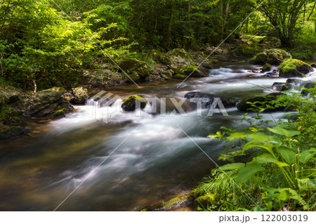 新緑に包まれて、清々しい清流 122003019