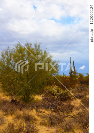 Clouds Over Central Sonora Desert Arizona 122003124