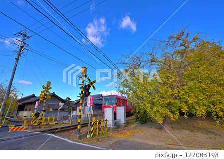 《愛知県》秋の稲沢市祖父江町の黄葉したイチョウと名鉄電車 《愛知県》秋の稲沢市祖父江町の黄葉したイチョウと名鉄電車 122003198