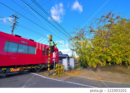 《愛知県》秋の稲沢市祖父江町の黄葉したイチョウと名鉄電車 122003201
