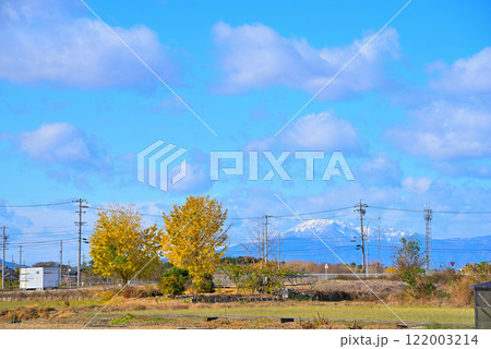 《愛知県》秋の稲沢市祖父江町　黄葉したイチョウの木と冠雪の伊吹山 122003214