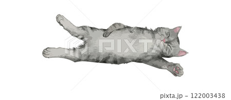 Cute cat watercolor isolated on white background. Kitty sleep and lying down drawing vector illustration 122003438