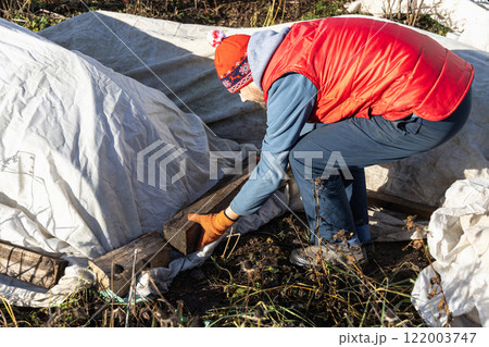 Winter Protection for Garden, winter shelter for garden plants, shelter rhododendrons 122003747