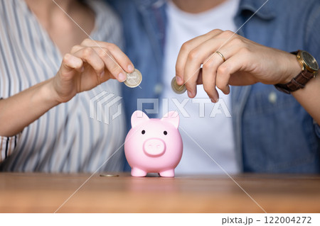 Hands of young couple throwing coins into ceramic piggy bank 122004272