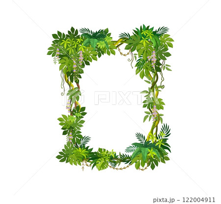 Jungle tropical forest liana frame with green leaves and ivy plant, vector border. Rainforest liana branches and leaves square frame of ivy vine or tropical creeping jungle tree and monstera leaves 122004911