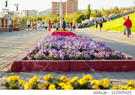 Flower Bed of petunia in public park. improvement, beautification and renovation of comfortable urban environment, improving quality of life. unrecognizable blurred crowd of people Flower Bed of petunia in public park. improvement, beautification and renovation of comfortable urban environment, improving quality of life. unrecognizable blurred crowd of people 122005425