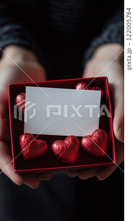 バレンタインデーのモチーフとコピースペース 122005764