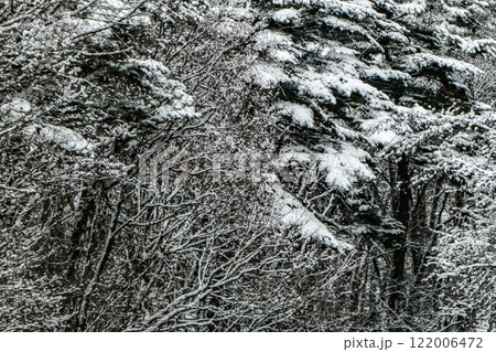 岩手県八幡平の冬景色 温暖化で久々の雪景色 岩手県八幡平の冬景色 温暖化で久々の雪景色 122006472