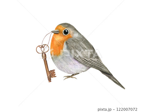 Watercolor sitting red Robin Bird holding vintage bronze key illustration. Spring cute little bird with orange breast and folded wings. Traditional European Erithacus rubecula for Valentine day card Watercolor sitting red Robin Bird holding vintage bronze key illustration. Spring cute little bird with orange breast and folded wings. Traditional European Erithacus rubecula for Valentine day card 122007072