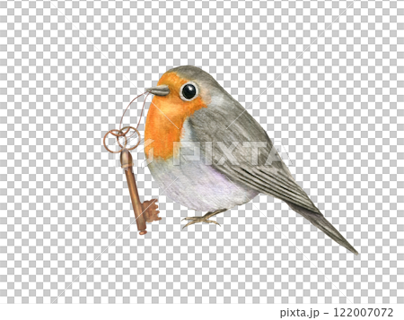Watercolor sitting red Robin Bird holding vintage bronze key illustration. Spring cute little bird with orange breast and folded wings. Traditional European Erithacus rubecula for Valentine day card 122007072