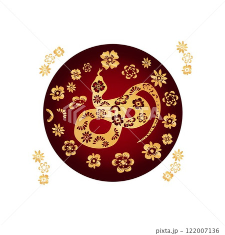 Year of the snake 122007136