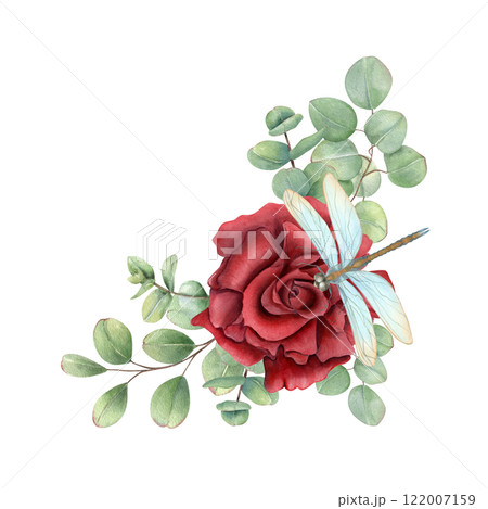Dark ruby rose flower with eucalyptus branches and sitting damselfly watercolor border. Single flower with demoiselle insect illustration in realistic style. For Valentine day, Mother day cards 122007159