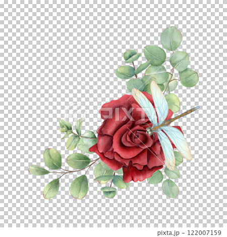 Dark ruby rose flower with eucalyptus branches and sitting damselfly watercolor border. Single flower with demoiselle insect illustration in realistic style. For Valentine day, Mother day cards 122007159