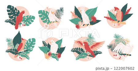 Vector illustration of a set of isolated icons with bright cockatoo parrots and tropical leaves. 122007602