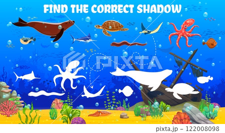 Find the correct shadow of sea animals at...のイラスト素材 [122008098] - PIXTA