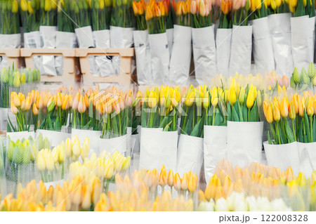 Close-up rows fresh yellow Dutch tulip bouquets wrapped white paper vibrant street flower market sale. Lot multicolored tulips bouquets. Floral blooming wholesale retail plant store. Florist service Close-up rows fresh yellow Dutch tulip bouquets wrapped white paper vibrant street flower market sale. Lot multicolored tulips bouquets. Floral blooming wholesale retail plant store. Florist service 122008328