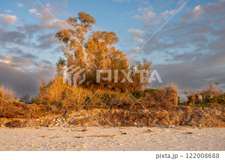 Small forest beside a beach, Sicily, Italy 122008688