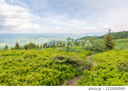 carpathian mountain landscape in summer. beautiful nature scenery of ukrainian alps. view in to the distant valley. cloudy sky above horizon. alpine meadow on the hill carpathian mountain landscape in summer. beautiful nature scenery of ukrainian alps. view in to the distant valley. cloudy sky above horizon. alpine meadow on the hill 122008999
