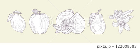 Hand Drawn Fruit and Fresh Juicy Garden Crop Vector Set 122009385