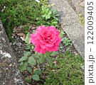道一赤い野バラ2680713 122009405