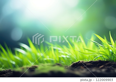 Close up of young green grass growing in soil over blurred nature background	 122009903