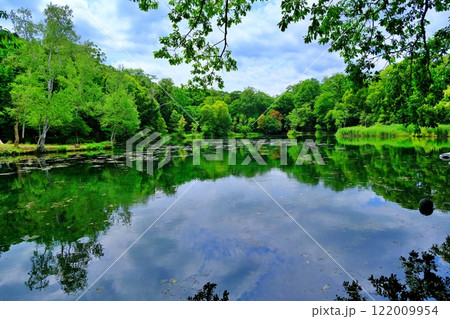 大自然が美しい北海道富良野市 鳥沼公園 緑の沼の風景 122009954