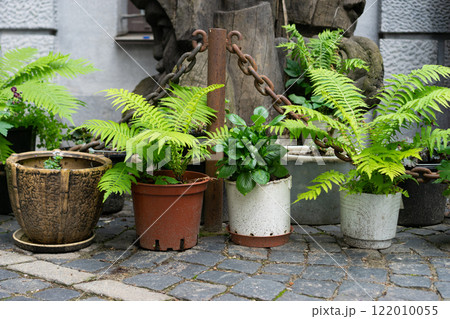 Design of a modern garden. Walkways made of wood-plastic composite boards. A border made of natural stone and flower pots. Gardening and decoration of backyard. 122010055