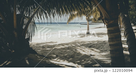 Tranquil Tropical Beach Framed by Palm Trees with Clear Blue Waters 122010094