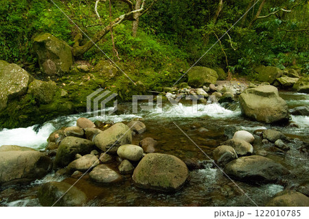 Creek Flowing in the Jungle on Maui, Hawaii 122010785