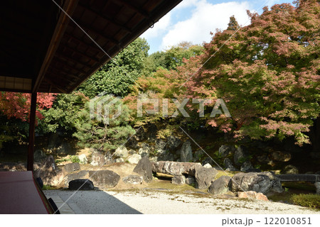 色づき始めた圓徳院 北庭(京都市東山区) 色づき始めた圓徳院 北庭(京都市東山区) 122010851