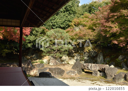 色づき始めた圓徳院 北庭(京都市東山区) 色づき始めた圓徳院 北庭(京都市東山区) 122010855