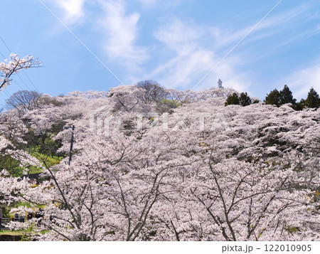 春の船岡城址公園【宮城県柴田郡柴田町】 春の船岡城址公園【宮城県柴田郡柴田町】 122010905