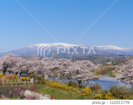一目千本桜と蔵王連峰（宮城県柴田郡大河原町） 122011770