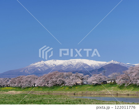 一目千本桜と蔵王連峰(宮城県柴田郡大河原町) 一目千本桜と蔵王連峰(宮城県柴田郡大河原町) 122011776