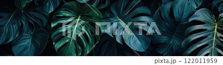 Dark background with exotic leaves, creating a lush and mysterious ambiance. 122011959