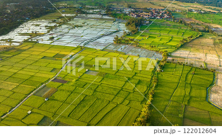 Rice Terrace, Ubud, Bali, Indonesia. Top view 122012604