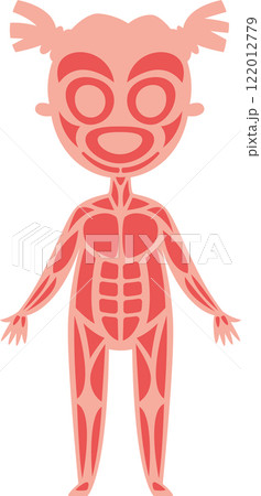 Simple and cute cartoon style illustration representing muscular system of a girl, useful for children's education or medical publications explaining human anatomy Simple and cute cartoon style illustration representing muscular system of a girl, useful for children's education or medical publications explaining human anatomy 122012779