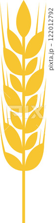 Stylized drawing of a ripe wheat stalk, representing the essence of agriculture and farming while highlighting healthy eating and the essential production of bread and pasta 122012792