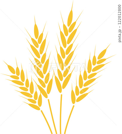 Ripe wheat stalks symbolize growth and abundance, representing the essence of healthy nutrition while embodying the richness of nature's harvest and the beauty of rural agriculture 122012800