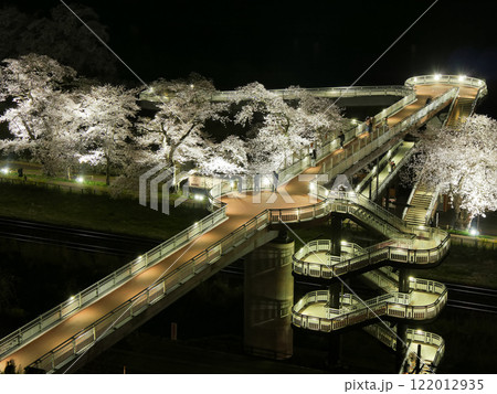 しばた千桜橋と一目千本桜（宮城県柴田郡大河原町） 122012935